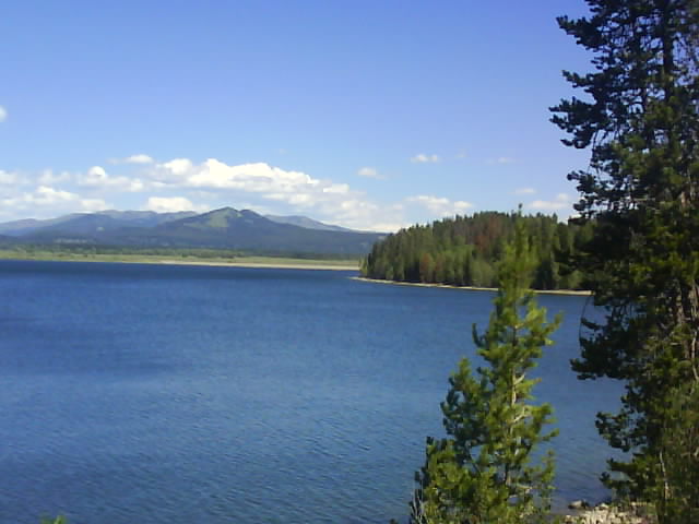 009 Grand Teton NP 11th Aug 2010.jpg